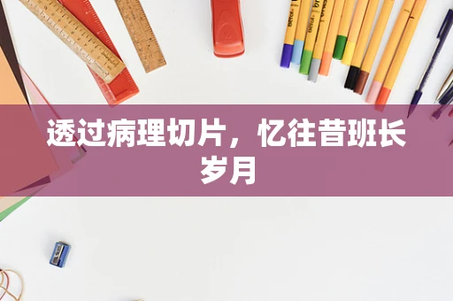 透过病理切片，忆往昔班长岁月