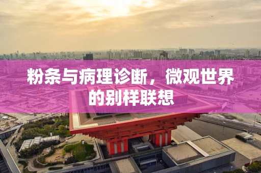 粉条与病理诊断，微观世界的别样联想