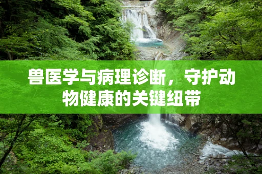 兽医学与病理诊断，守护动物健康的关键纽带