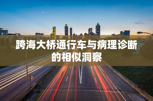 跨海大桥通行车与病理诊断的相似洞察