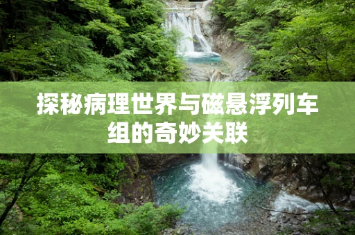 探秘病理世界与磁悬浮列车组的奇妙关联
