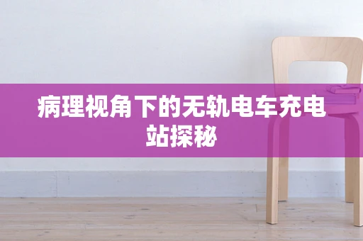 病理视角下的无轨电车充电站探秘