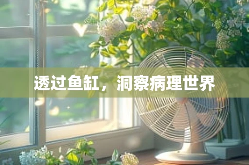透过鱼缸，洞察病理世界