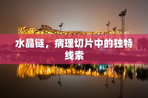 水晶链，病理切片中的独特线索