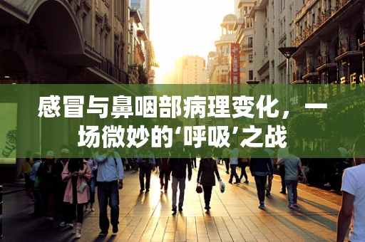 感冒与鼻咽部病理变化，一场微妙的‘呼吸’之战