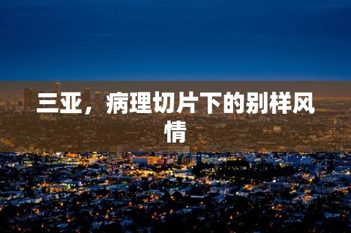三亚，病理切片下的别样风情