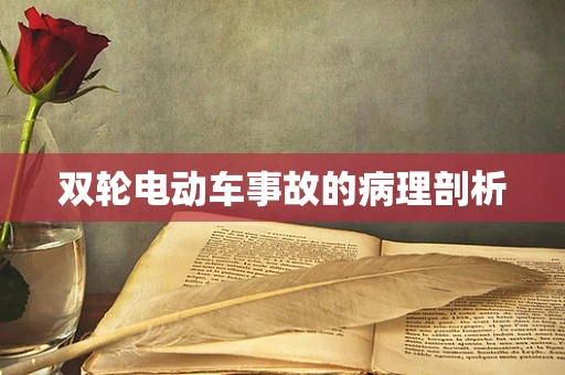 双轮电动车事故的病理剖析