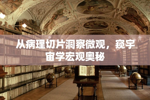从病理切片洞察微观，窥宇宙学宏观奥秘