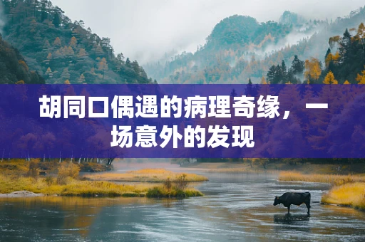 胡同口偶遇的病理奇缘，一场意外的发现