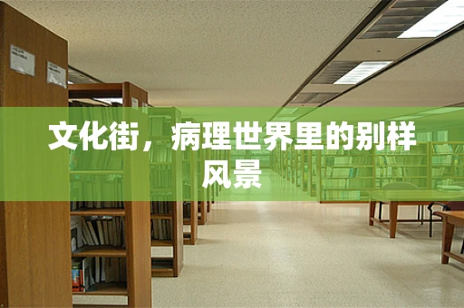 文化街，病理世界里的别样风景