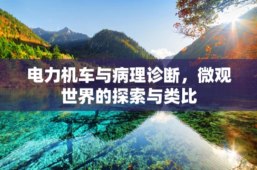 电力机车与病理诊断，微观世界的探索与类比