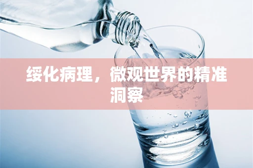 绥化病理，微观世界的精准洞察