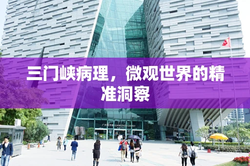 三门峡病理，微观世界的精准洞察
