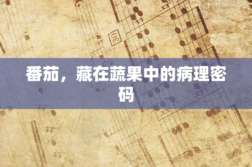 番茄，藏在蔬果中的病理密码