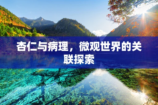 杏仁与病理，微观世界的关联探索