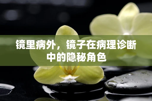 镜里病外，镜子在病理诊断中的隐秘角色