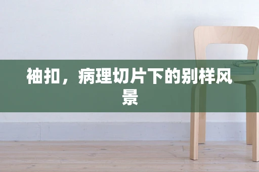 袖扣，病理切片下的别样风景