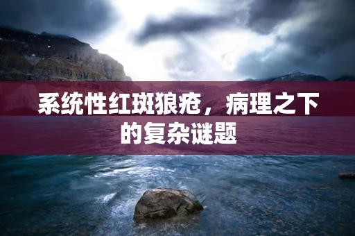 系统性红斑狼疮，病理之下的复杂谜题