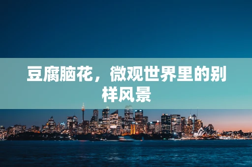 豆腐脑花，微观世界里的别样风景