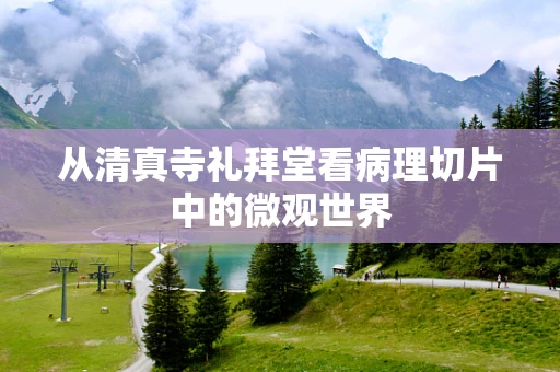 从清真寺礼拜堂看病理切片中的微观世界
