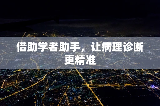 借助学者助手，让病理诊断更精准