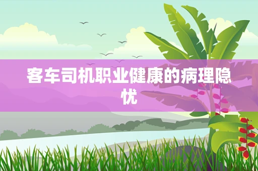 客车司机职业健康的病理隐忧
