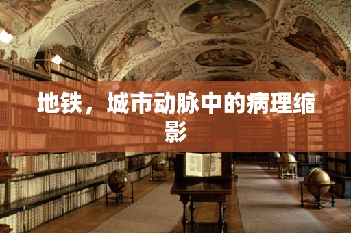地铁，城市动脉中的病理缩影