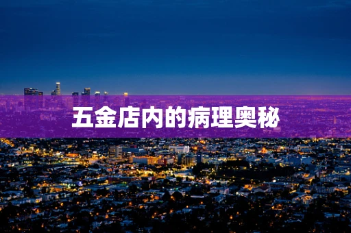 五金店内的病理奥秘