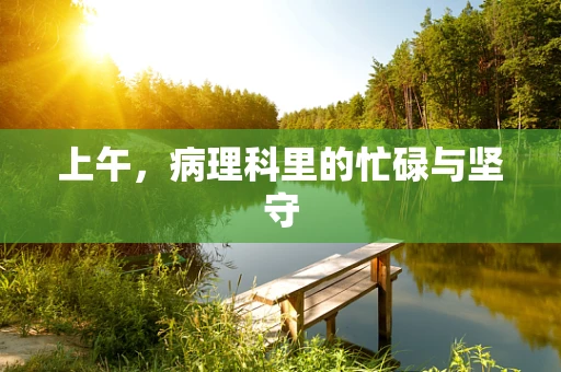 上午，病理科里的忙碌与坚守