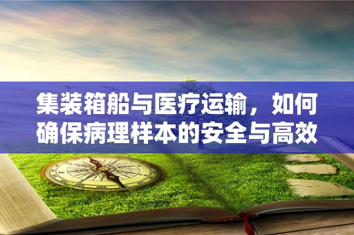 集装箱船与医疗运输，如何确保病理样本的安全与高效？