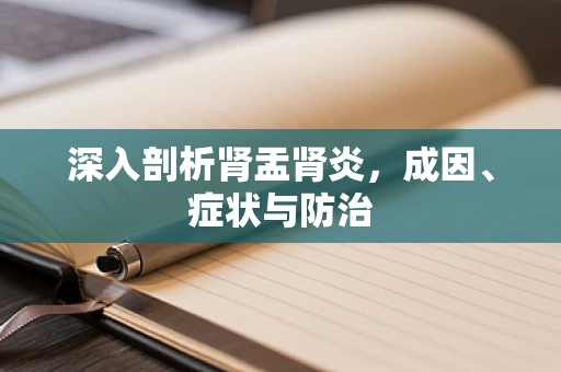 深入剖析肾盂肾炎，成因、症状与防治
