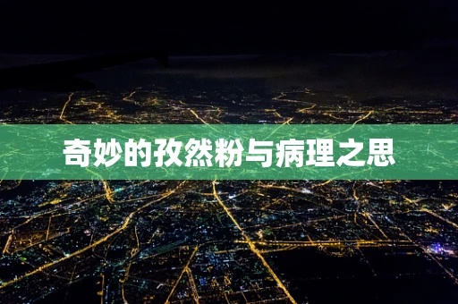 奇妙的孜然粉与病理之思