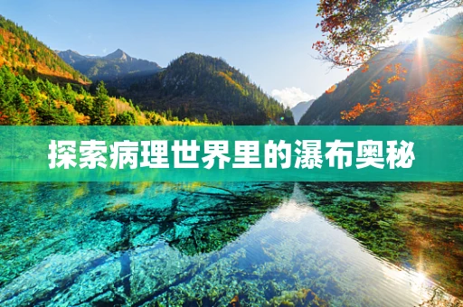 探索病理世界里的瀑布奥秘