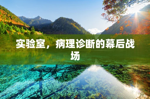 实验室，病理诊断的幕后战场