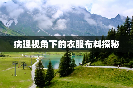 病理视角下的衣服布料探秘