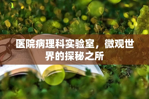 医院病理科实验室，微观世界的探秘之所