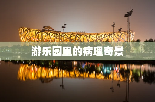 游乐园里的病理奇景