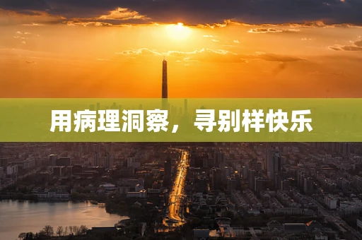 用病理洞察，寻别样快乐