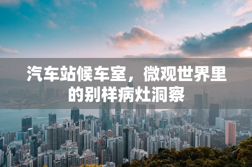 汽车站候车室，微观世界里的别样病灶洞察