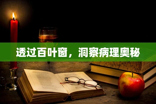 透过百叶窗，洞察病理奥秘