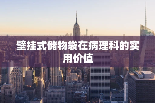 壁挂式储物袋在病理科的实用价值