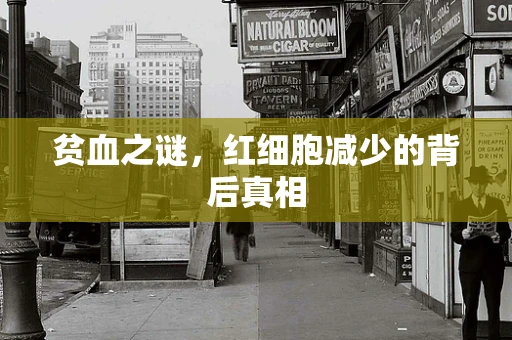 贫血之谜，红细胞减少的背后真相
