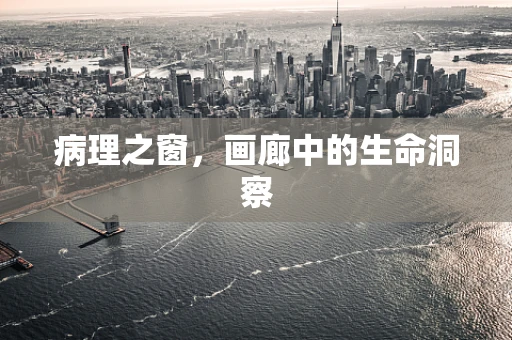 病理之窗，画廊中的生命洞察