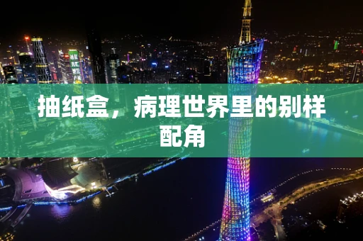 抽纸盒，病理世界里的别样配角