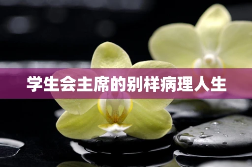 学生会主席的别样病理人生