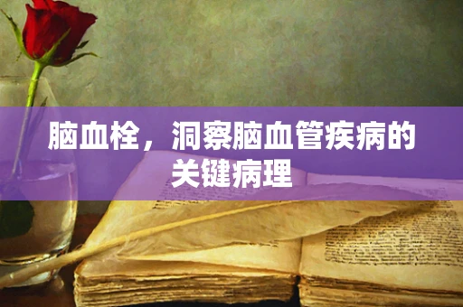 脑血栓，洞察脑血管疾病的关键病理