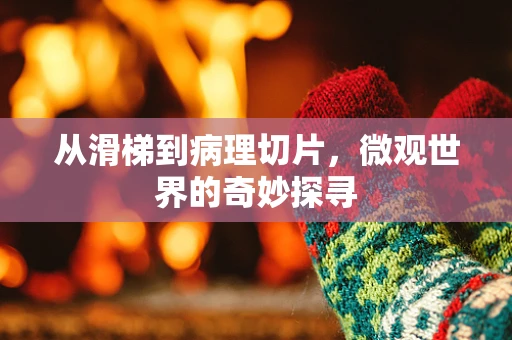 从滑梯到病理切片，微观世界的奇妙探寻