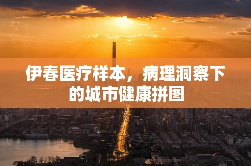 伊春医疗样本，病理洞察下的城市健康拼图