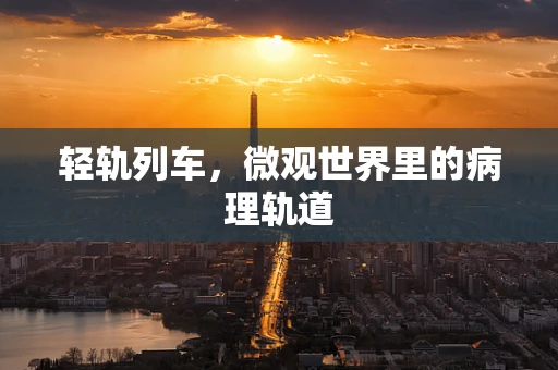 轻轨列车，微观世界里的病理轨道