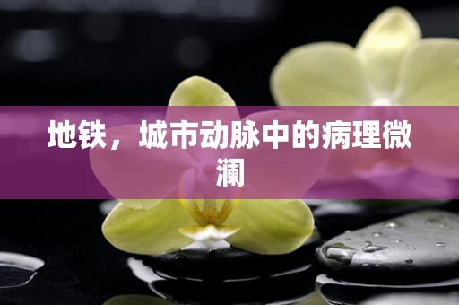地铁，城市动脉中的病理微澜